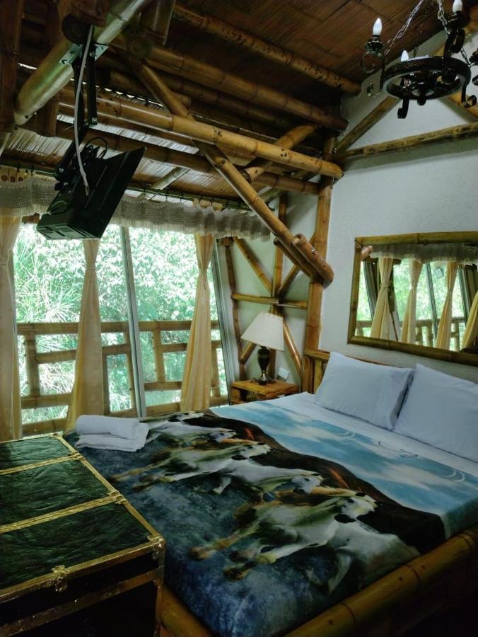 Hospedaje Rural Tupinamba 이바게 외부 사진