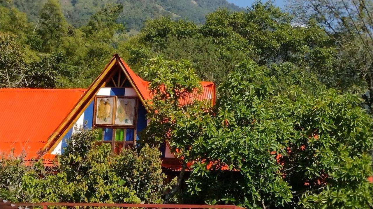 Hospedaje Rural Tupinamba 이바게 외부 사진